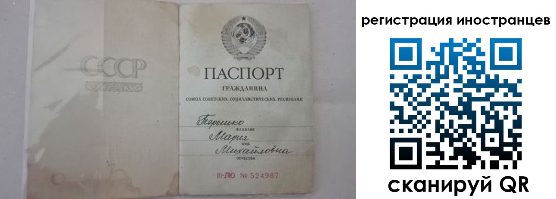 прописка паспорт в Щиграх